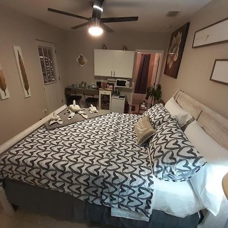 Luxurious Cozy Studio. แทมปา ภายนอก รูปภาพ